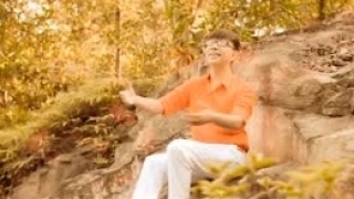 Cánh Hoa Bay - Long Nhật