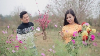 Hoa Đào Năm Trước - Dương Hồng Loan
