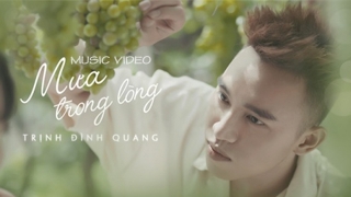 Mưa Trong Lòng - Trịnh Đình Quang