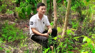 Bà Năm - Phạm Bảo Khánh