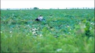 Cô Dâu Miền Tây - Dương Đình Trí, Thanh Ngân