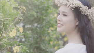 Cánh Thiệp Đầu Xuân - Thụy Miên