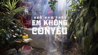 Em Không Còn Yêu - Ngô Như Thủy