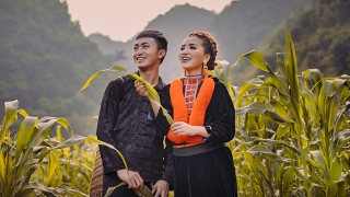 Nói Thương Nhau Thì Đừng Làm Trái Tim Em Đau - Bích Phương