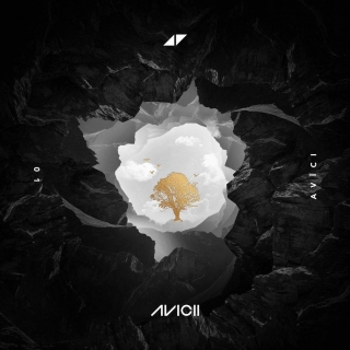 Avicii,AlunaGeorge