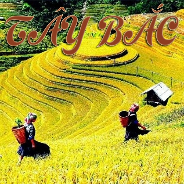 Những Bài Hát Hay Nhất Về Miền Núi Tây Bắc | Nhac.vn |387
