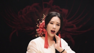 Bỉ Ngạn Đỏ - Hoa Trần