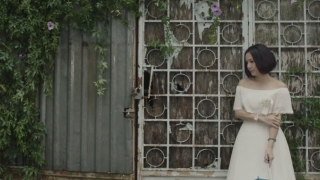 Chiều Một Mình Qua Phố - Việt Hòa