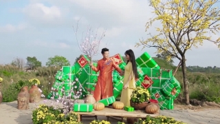 Mùa Xuân Bên Nhau - Việt Tú