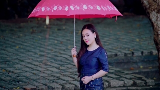 Đoạn Buồn Đêm Mưa - Lưu Ánh Loan