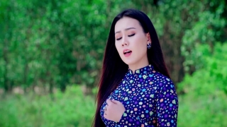 Chuyện Tình Không Dĩ Vãng - Lưu Ánh Loan