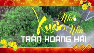 Xuân Nhớ Nhà - Trần Hoàng Hải