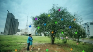 Chưa Từng Thuộc Về Nhau - Trần Thái Hoàng