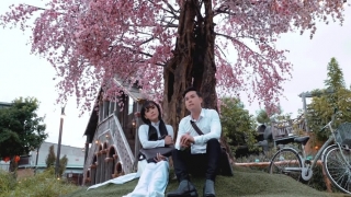 Ví Dầu Qua Cầu Đạp Xe - Thanh Vinh, Hồng Quyên