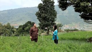 Đường Về Hai Thôn - Hương Giang, Phúc Béo