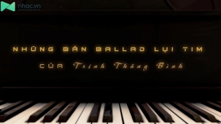 Những Bản Ballad Lụi Tim Của Trịnh Thăng Bình - Various Artists