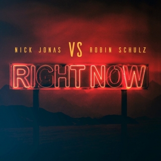 Nick Jonas,Robin Schulz