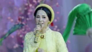Hỏi Nàng Xuân - Như Phượng