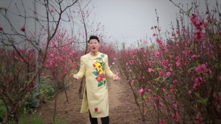 Bên Em Khi Xuân Về - Việt Tú