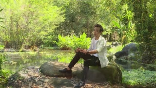 Mùa Bông Điên Điển - Liêu Kỳ