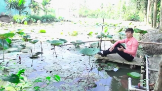 Ngày Về Nhớ Mẹ - Phi Bằng