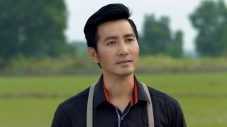 Thương Lại Càng Thương - Nguyễn Phi Hùng