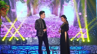 Đường Tình Đôi Ngả - Dương Hồng Loan, Lưu Chí Vỹ