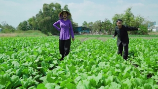 Sáng Xỉn Chiều Say - Lê Như, Dũng Nhí