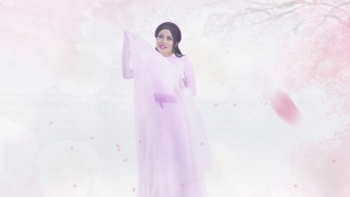 Hồng Nhan - Phương Thanh