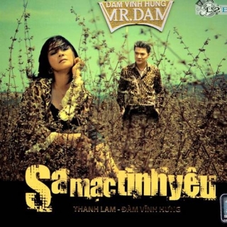 Đàm Vĩnh Hưng