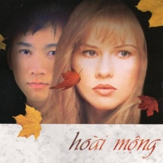 Don Hồ