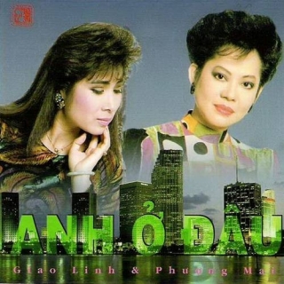 Phượng Mai
