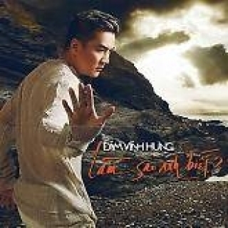 Đàm Vĩnh Hưng