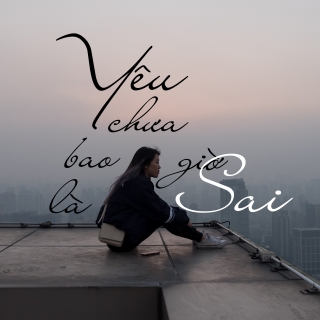 Yêu Chưa Bao Giờ Là Sai - Various Artists