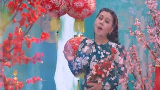 Ai Lên Xứ Hoa Đào - Lưu Ánh Loan, Hồng Quyên