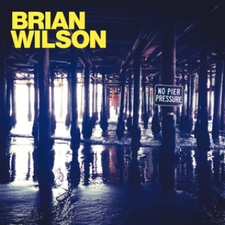 Brian Wilson,She & Him