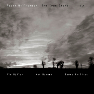 Robin Williamson