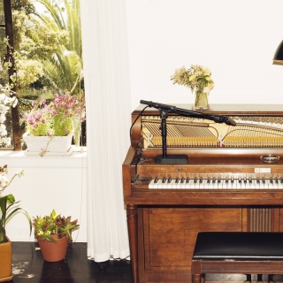 Charlotte Gainsbourg,Emile Haynie,Sampha