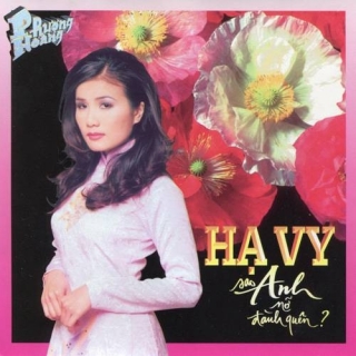 Hạ Vy
