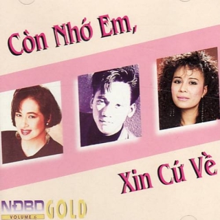 Ý Lan