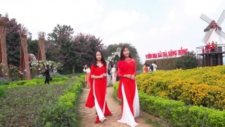 Cánh Thiệp Đầu Xuân - Khánh An, Vân Anh