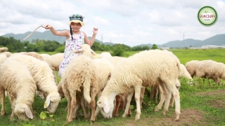 Những Ngày Ấu Thơ - Bé Bào Ngư