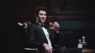 Lost In Japan (Original Remix) - Shawn Mendes, Zedd