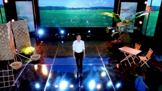 Tình Thắm Duyên Quê - Tuấn Khương