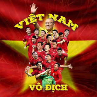 Việt Nam Vô Địch - Various Artists