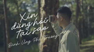 Xin Đừng Hỏi Tại Sao - Đinh Ứng Phi Trường