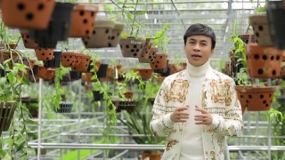 Phi Điệp Năm Cánh Trắng Tôi Yêu - Trường Sơn