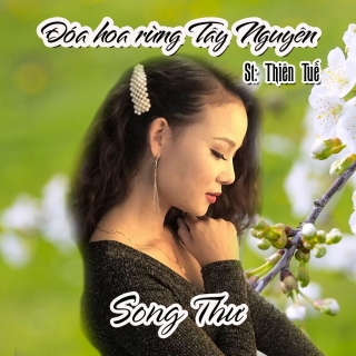 Song Thư