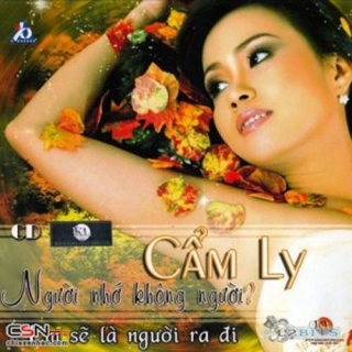 Cẩm Ly,Đan Trường