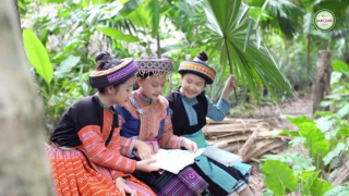 Nhà Em Ở Lưng Đồi - Bé Bào Ngư